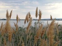 Das Landhaus Klambauer *** Apartmemthaus Thermennähe Bild 18 Das Landhaus Klambauer *** Apartmemthaus Thermennähe Bild 18