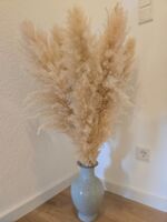 Elbdeck – Monteurwohnung für 4 Personen Bild 23 Elbdeck – Monteurwohnung für 4 Personen Bild 23