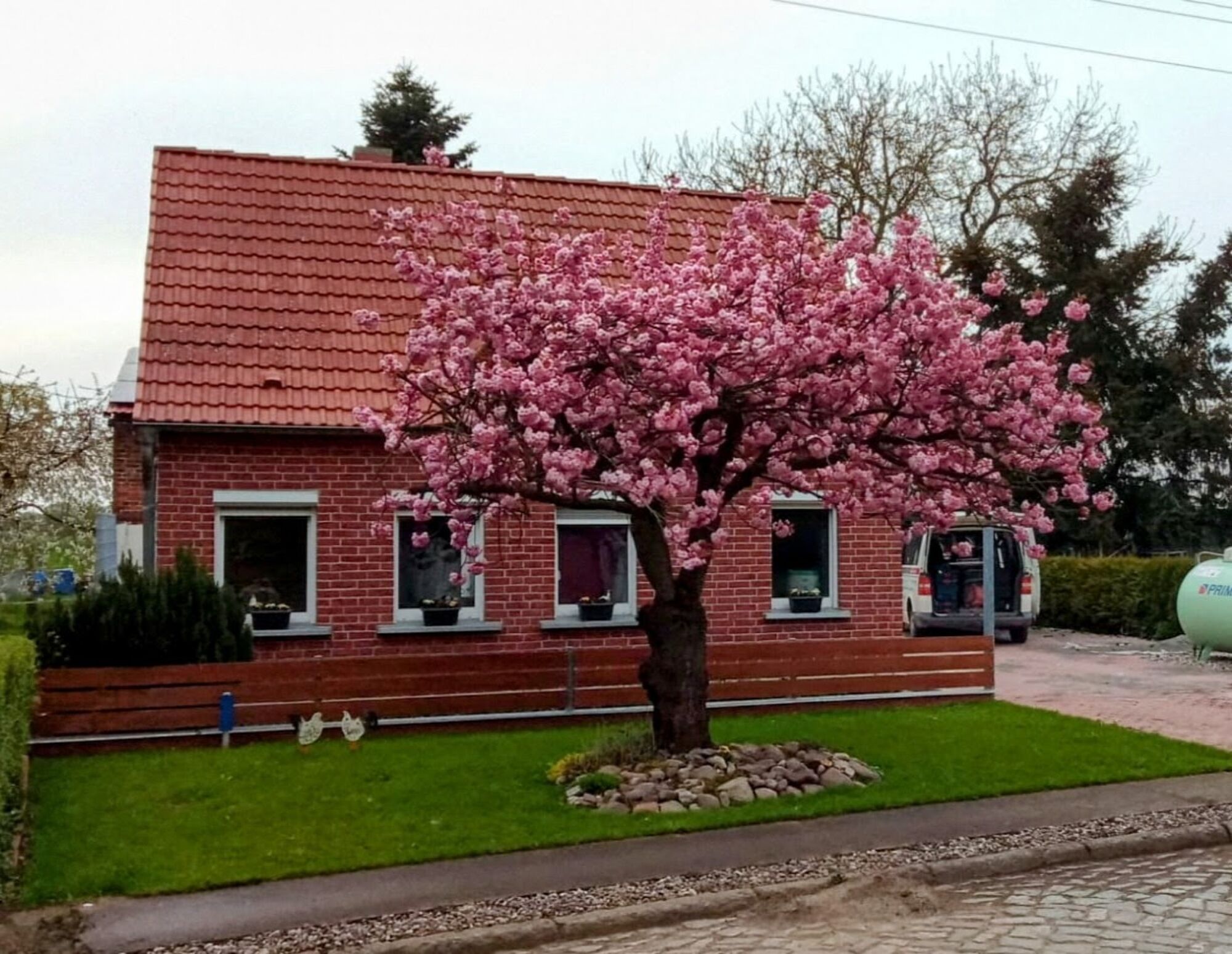 Haus mit Grundstück zur allein Nutzung Haus mit Grundstück zur allein Nutzung