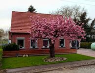 Haus mit Grundstück zur allein Nutzung Haus mit Grundstück zur allein Nutzung