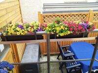 Privatzimmer Schäfer Bild 17 Privatzimmer Schäfer Bild 17