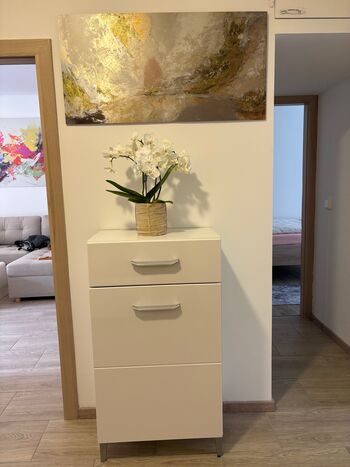 Schöne Erdgeschoss-Whg. 5 Minuten vom Hauptbahnhof Dresden Bild 3 Schöne Erdgeschoss-Whg. 5 Minuten vom Hauptbahnhof Dresden Bild 3