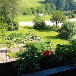 Saierhof Buchenbach Bild 10 Saierhof Buchenbach Bild 10