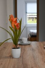 Ferienwohnung zum Schlossblick Bild 8 Ferienwohnung zum Schlossblick Bild 8