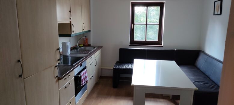 Käfer Bild 2 Käfer Bild 2