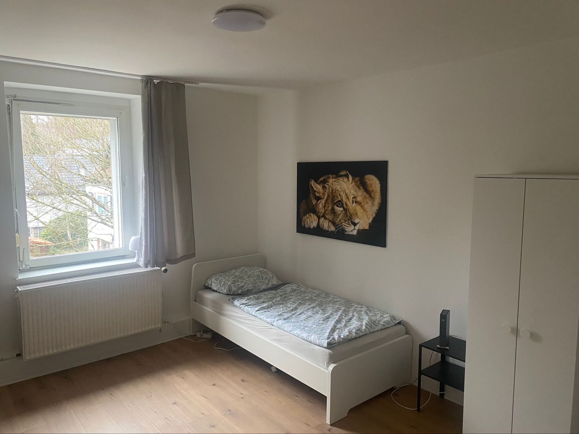 Bild 4 Bild 4
