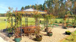 Remise beim Sophienschlösschen nähe Berlin Bild 15 Remise beim Sophienschlösschen nähe Berlin Bild 15