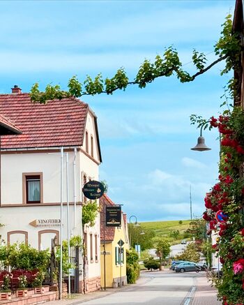 gants gemütlich im Weisenheimer Hof gants gemütlich im Weisenheimer Hof