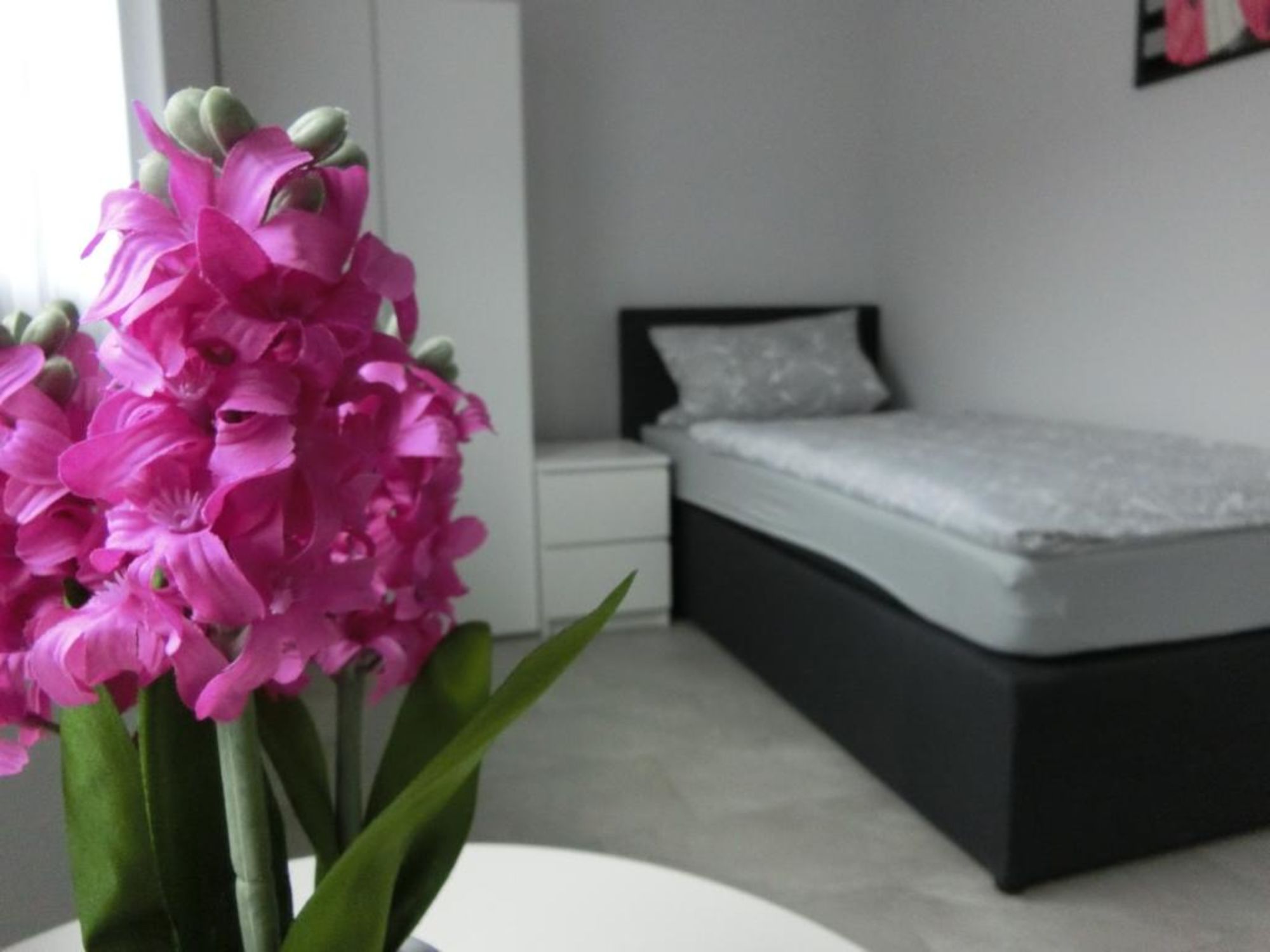 Zimmer allgemein Zimmer allgemein