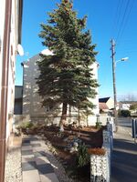 Pension Schlesinger Bild 2 Pension Schlesinger Bild 2