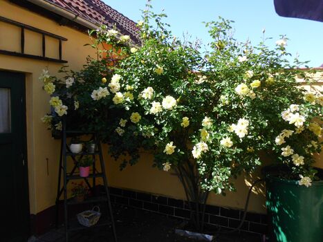 Zimmervermietung Zötzsche Obrázok 5 Zimmervermietung Zötzsche Obrázok 5