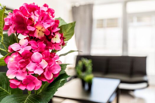 HomeRent in Monheim, Langenfeld und Hilden HomeRent in Monheim, Langenfeld und Hilden