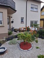 Haus Spengler Bild 8 Haus Spengler Bild 8