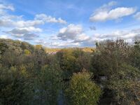 Charmante Wohnung in Potsdam Bild 12 Charmante Wohnung in Potsdam Bild 12