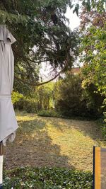 Gästezimmer / WG Bozkurt – Dein gemütlicher Aufenthalt in Jockgrim Bild 6 Gästezimmer / WG Bozkurt – Dein gemütlicher Aufenthalt in Jockgrim Bild 6