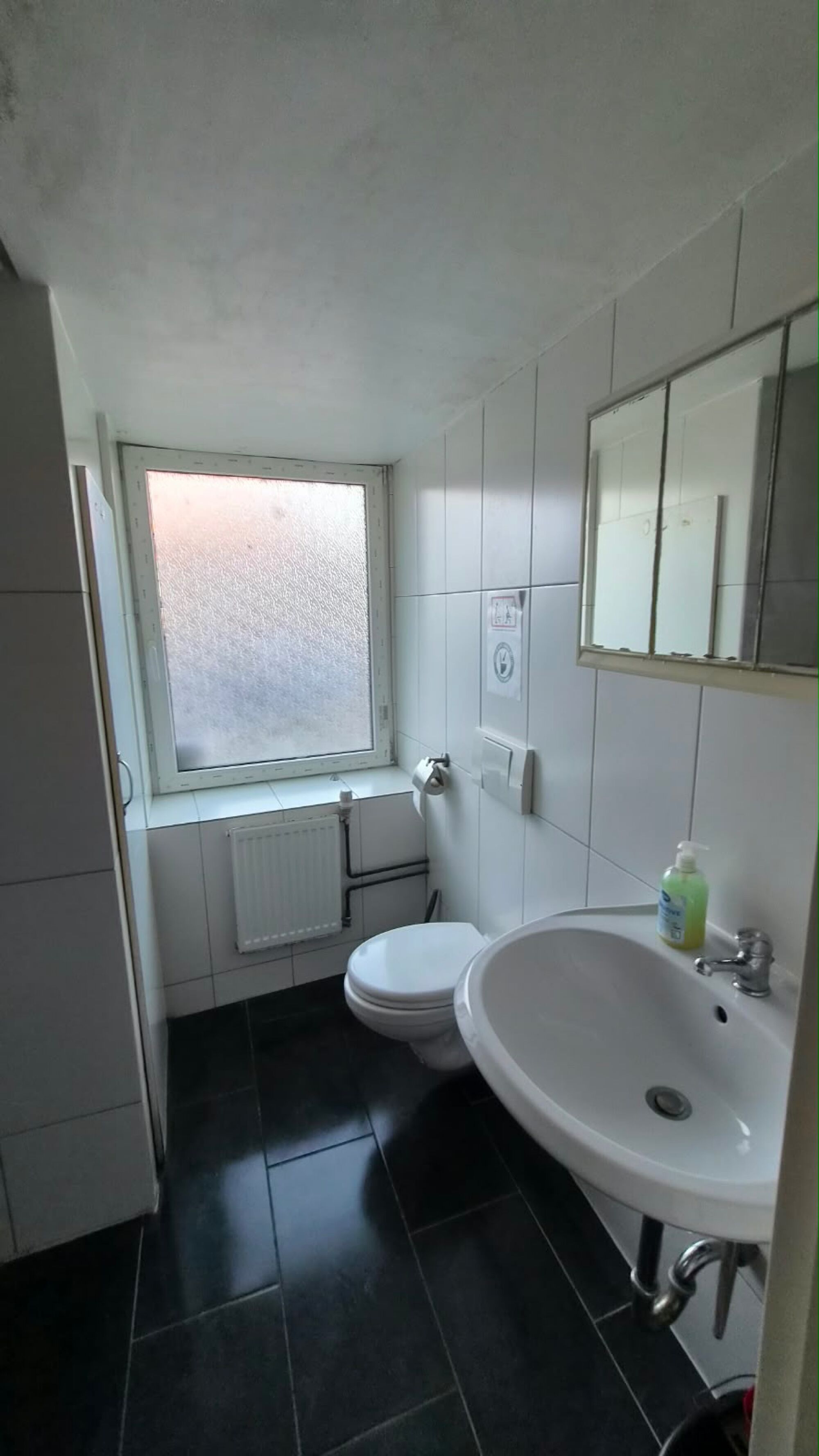 Bild 5 Bild 5