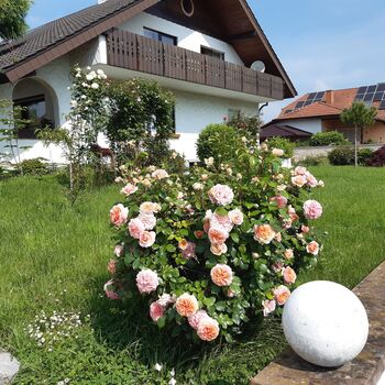 Monteurwohnung Picture 3 Monteurwohnung Picture 3