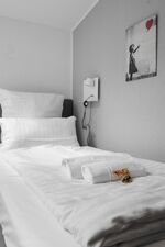 BG33-DG Bild 2 BG33-DG Bild 2