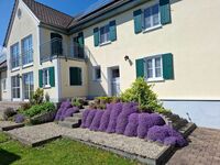 Südseite und Hintereingang Wohnung Wiesenblick Südseite und Hintereingang Wohnung Wiesenblick