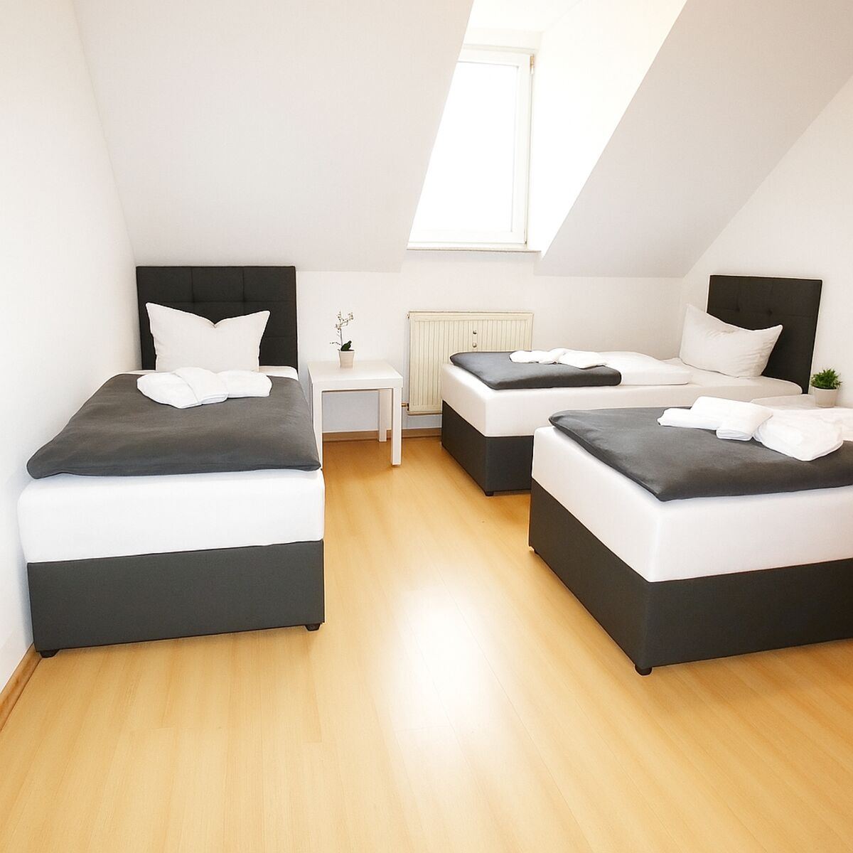 Bild 5 Bild 5