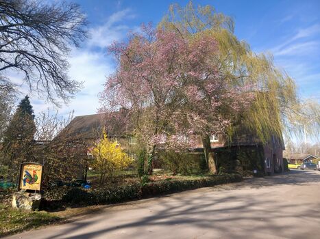 Pension Leitingshof (Borken/Weseke) Pension Leitingshof (Borken/Weseke)