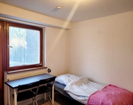 Ferienhaus Knapp Bild 4