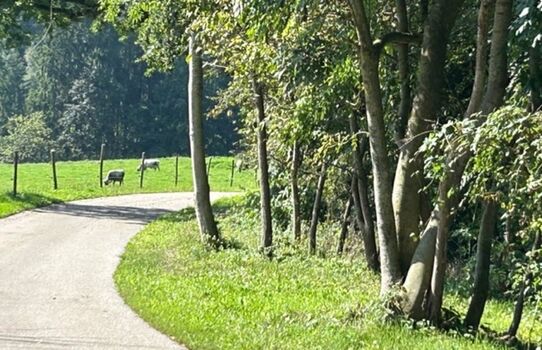 Natur Pur Maximilian Obrázok 5