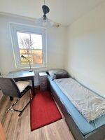 Newworkcenter - Nähe Wels/Steyr/Linz Bild 9