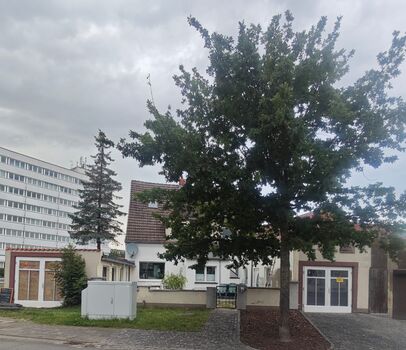 An der Hafenkante Usedom