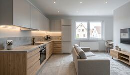 Business Apartment Langenau Bild 2