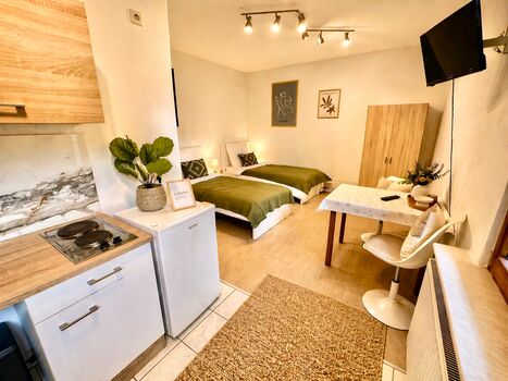 Monteurunterkunft Lahnstein 5 Apartments für bis zu 10 Personen