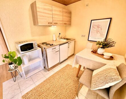 Monteurunterkunft Lahnstein 5 Apartments für bis zu 10 Personen Bild 5