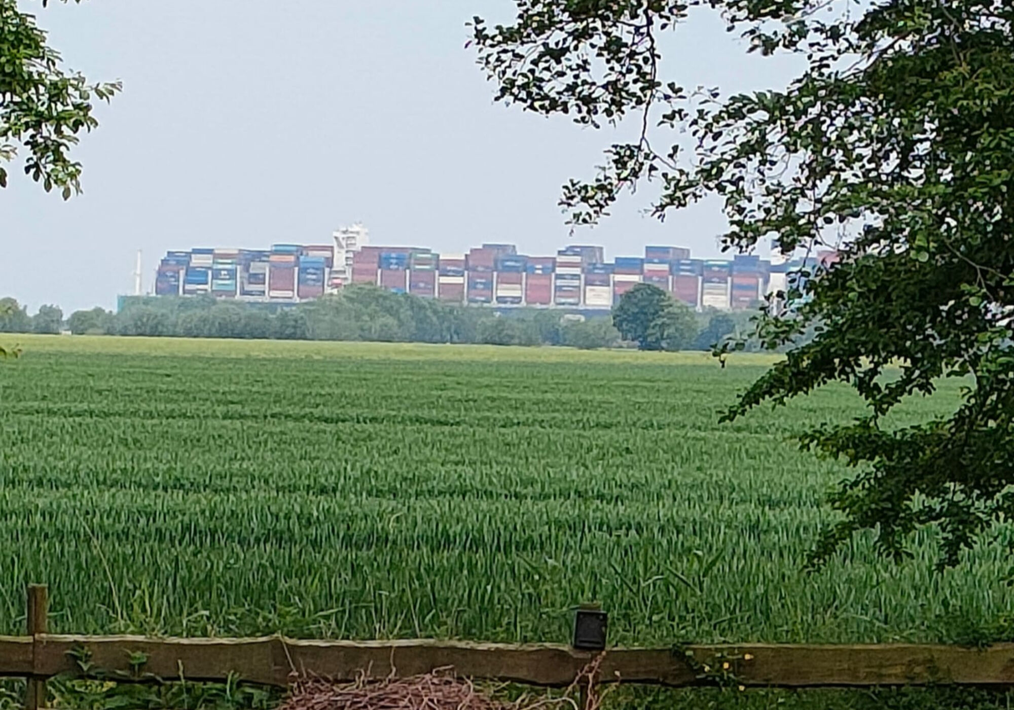 Garten mit einzigartigem Ausblick