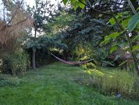 Ferienhaus Königsnase Sächsische Schweiz Bild 18