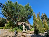 Ferienhaus Königsnase Sächsische Schweiz Bild 16