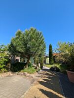 Ferienhaus Königsnase Sächsische Schweiz Bild 17