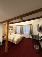 Hotel Pension Löwen nahe Feldkirch - günstige Zimmer für Monteure Bild 1