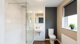 FL12 / TOMASZ-LIVING in PADBORG - Grenznah | Billig Bild 1