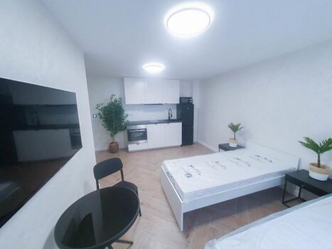 ALFA APARTMENTS / Stuttgart Bosch/Porsche - SOFORT VERFÜGBAR Zdjęcie 2