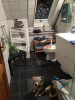 Casa Cerasum 1 Bild 5