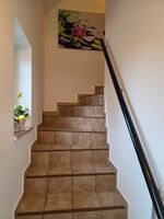 Claudias Landidyll Storchennest & Pferdekoppl Bild 5