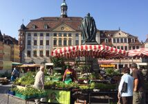 zum Zentrum sind es 7 Minuten mit dem Stadtbus oder 20 Minuten zu Fuß