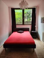 Wohlfühl- Gästezimmer in Brandenburger Straße, Halle (Saale) Bild 19