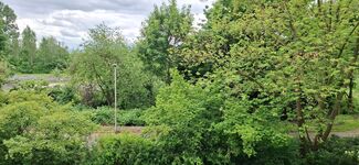 Blick vom Balkon im 1. OG ins Grüne Richtung Fahrrad- und Spazierweg, Innenstadt von Hamm sowie den Fluss Lippe