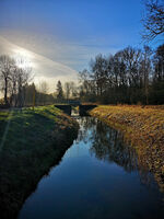 Fewo Rundum Natur Bild 9