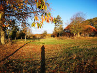 Fewo Rundum Natur Bild 12