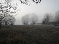 Fewo Rundum Natur Bild 15