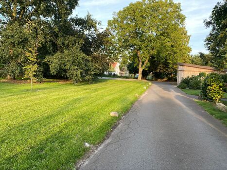 Dümmer Biermann***** Bild 4