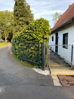 Dümmer Biermann***** Bild 3