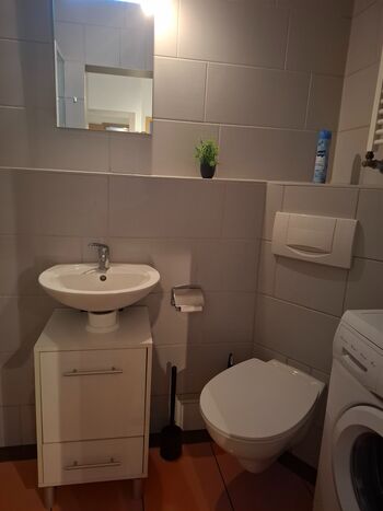 Wohnung mit Grillmöglichkeit in Müglitztal Bild 5